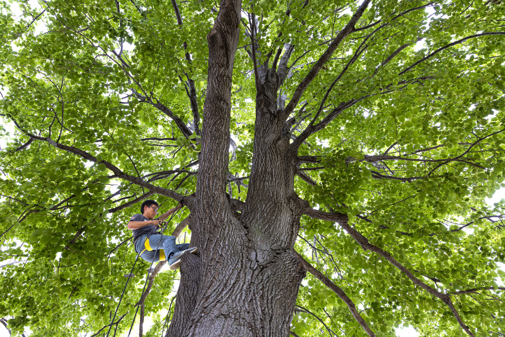 Top Journal Star photos for June
